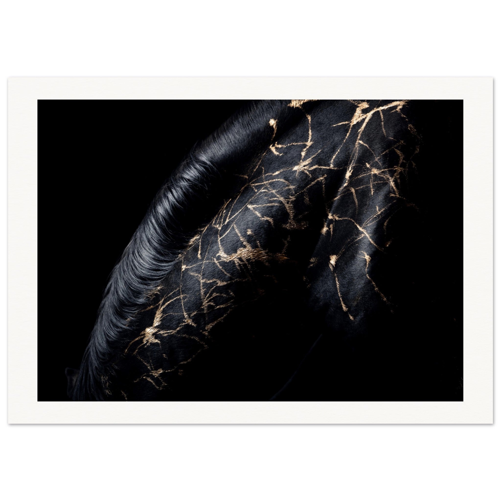 f8b2309d-7be0-4c61-b89e-345b0bad9e44