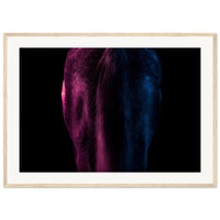 f8ec3f3e-6c9d-4107-82a1-27af13609a95