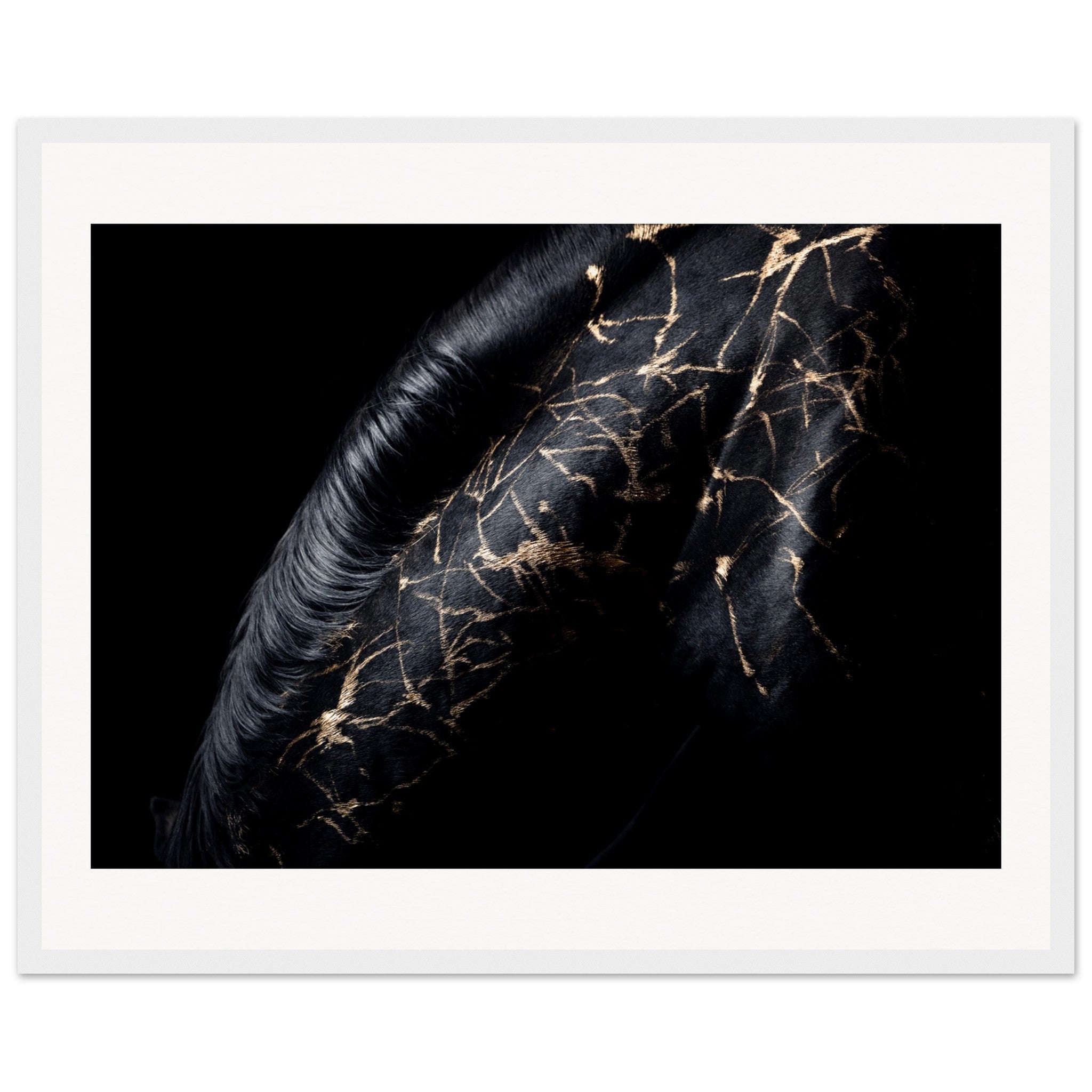 f90eed80-eca4-46db-a7d9-454cf6e19f3e