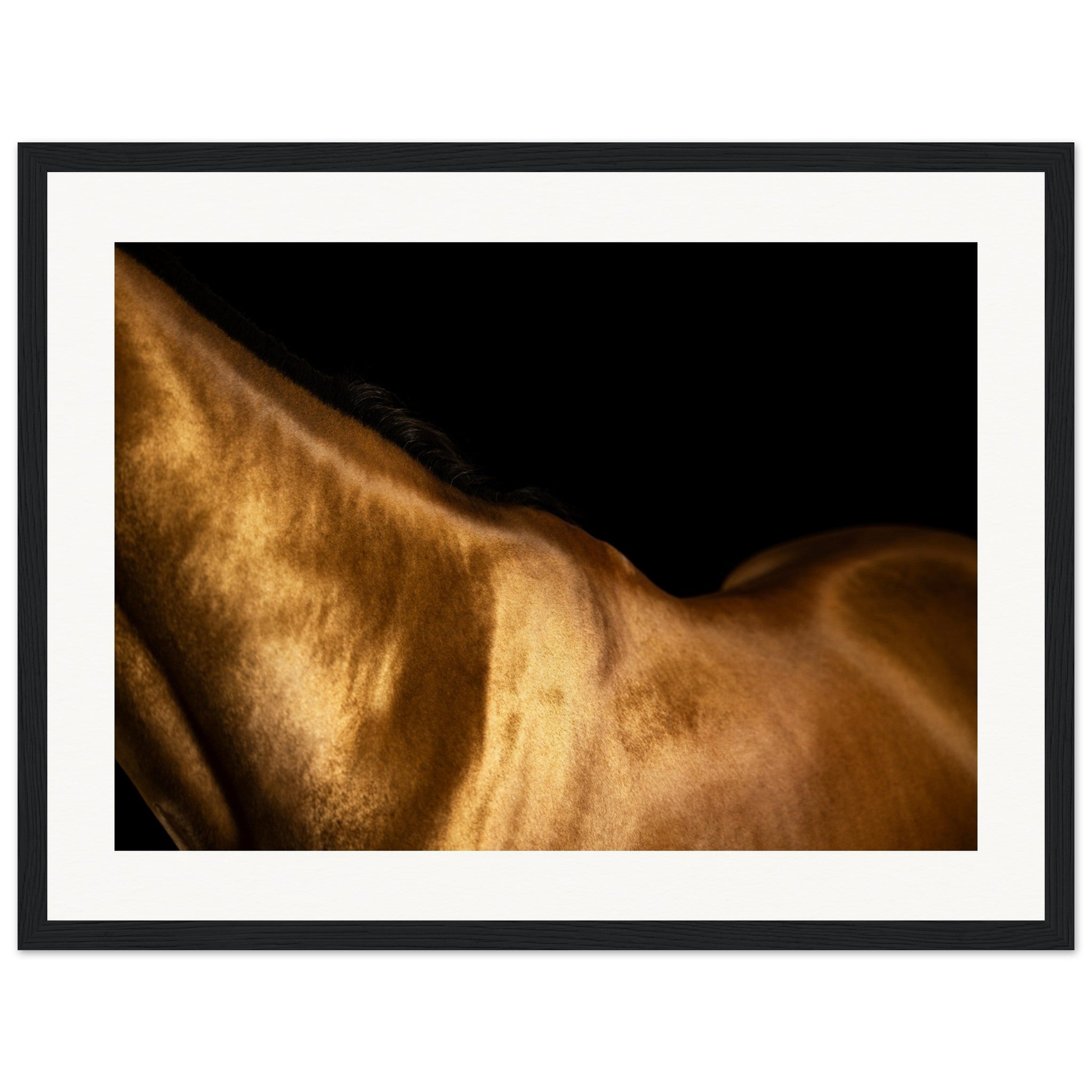 f92af4cb-f271-4396-93cd-ca7cc85a8eb1