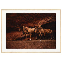 f933a3ba-4b6d-4254-becd-12daa2eb4648