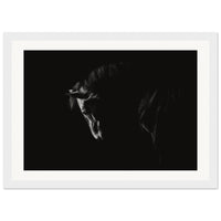 f976d531-2e1e-40a9-86f8-dbd3ec638022