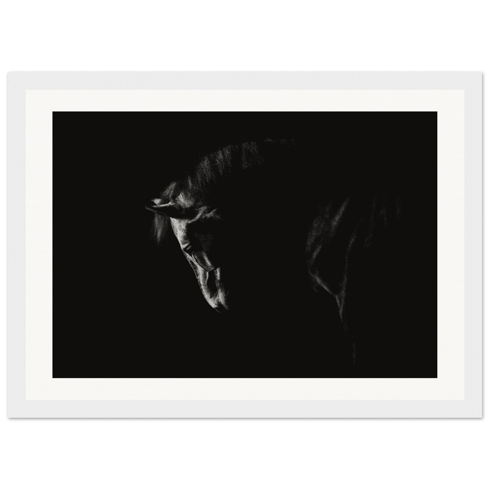 f976d531-2e1e-40a9-86f8-dbd3ec638022