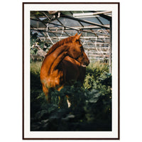 f9a2f497-44ea-491c-9ed6-3bc0d5ac4359