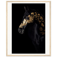 f9e1648e-8cce-4763-9fa2-5a875884c76b