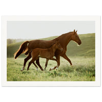 f9e49b9e-61f6-4283-9b8f-d08221d159f6