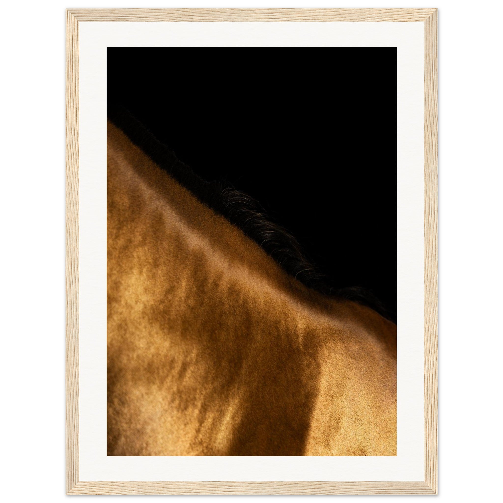 f9f6d3db-2fbf-41b6-b01a-046a4513f8d1