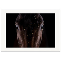 fa3bfe18-bf66-45cb-a566-6d2c91a6f318