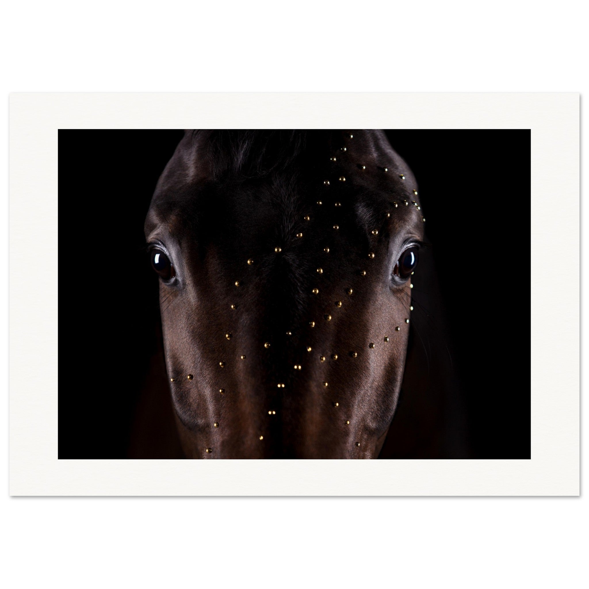 fa3bfe18-bf66-45cb-a566-6d2c91a6f318