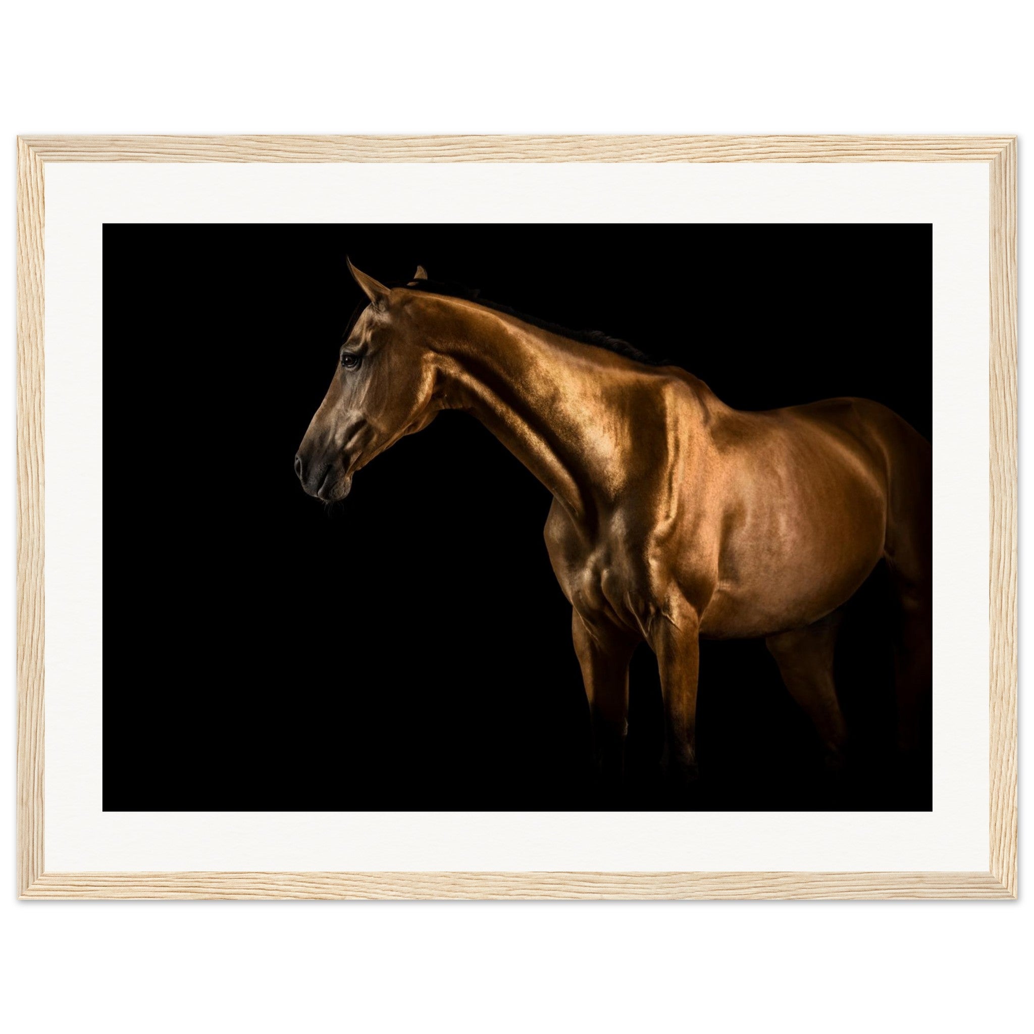 fa3d7ba9-23ea-47a3-bb95-c45aefd45852