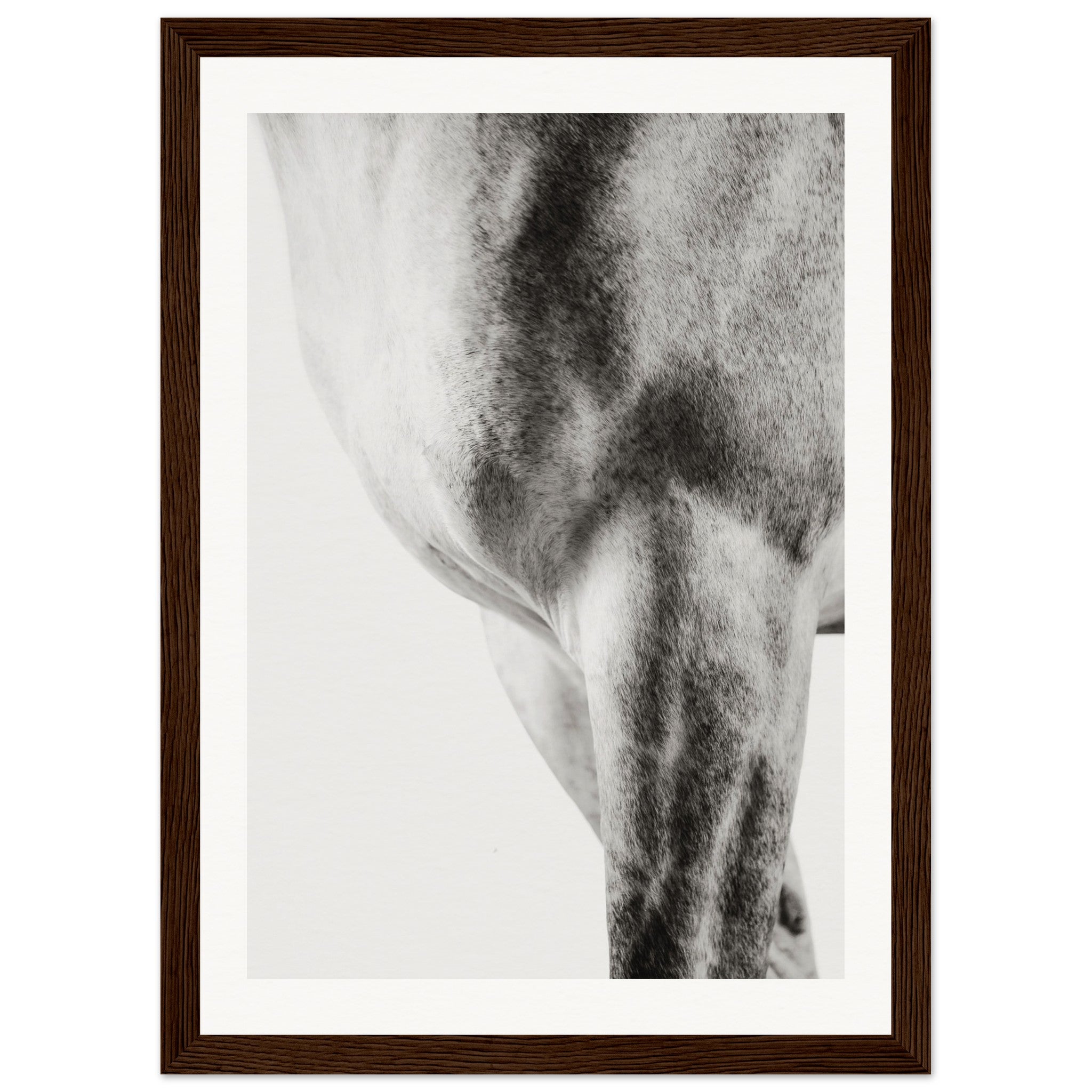 fa4da143-1e42-48eb-973c-1ce32ac8fe3a