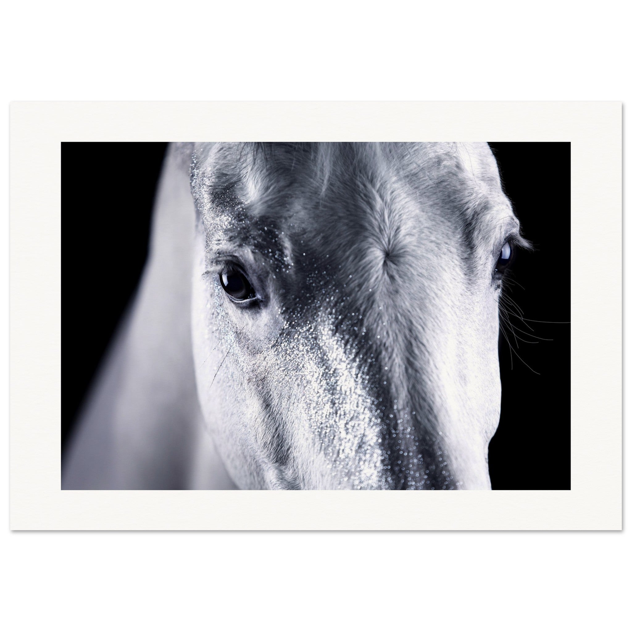 fa7947fb-276a-4458-8ced-3814b6dfee47