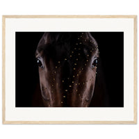 fa81b90d-8aa1-4ecb-b30e-cb8b29d5ef63