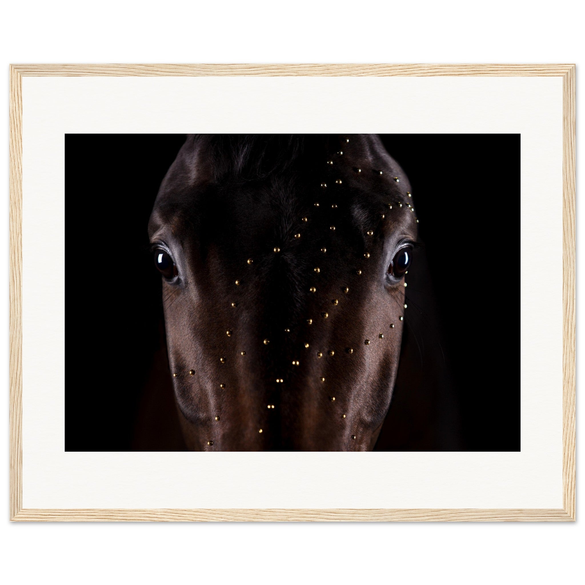 fa81b90d-8aa1-4ecb-b30e-cb8b29d5ef63