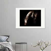 fb113a4d-7204-4c85-93db-9e351aa106cb