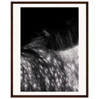 fb1e6e88-93b0-472b-907a-9d228d6637b3