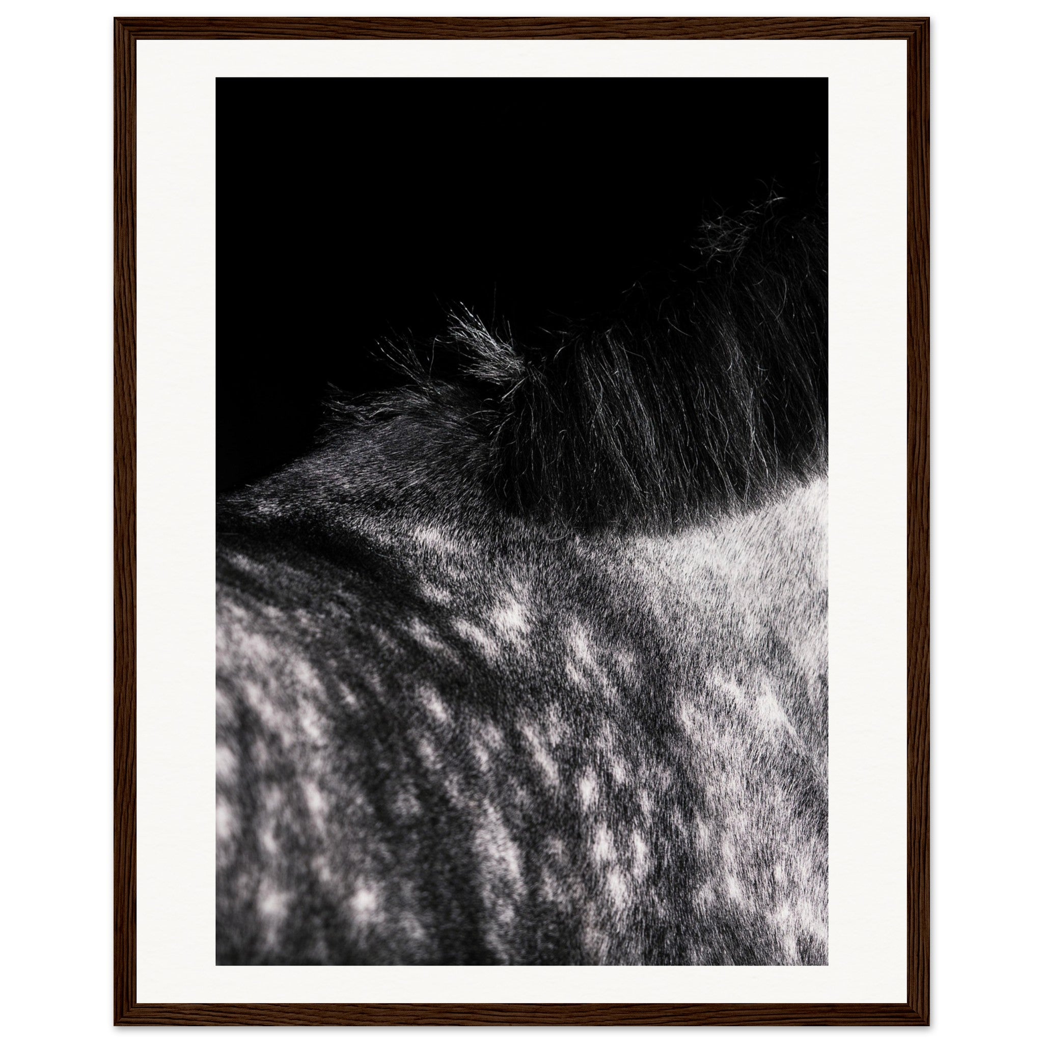 fb1e6e88-93b0-472b-907a-9d228d6637b3