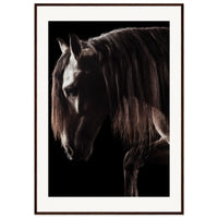 fb3e6251-6a92-4ef7-afba-77cb4f7f86d1