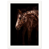 fb4f9961-8a83-4d20-a9ea-02898640301e