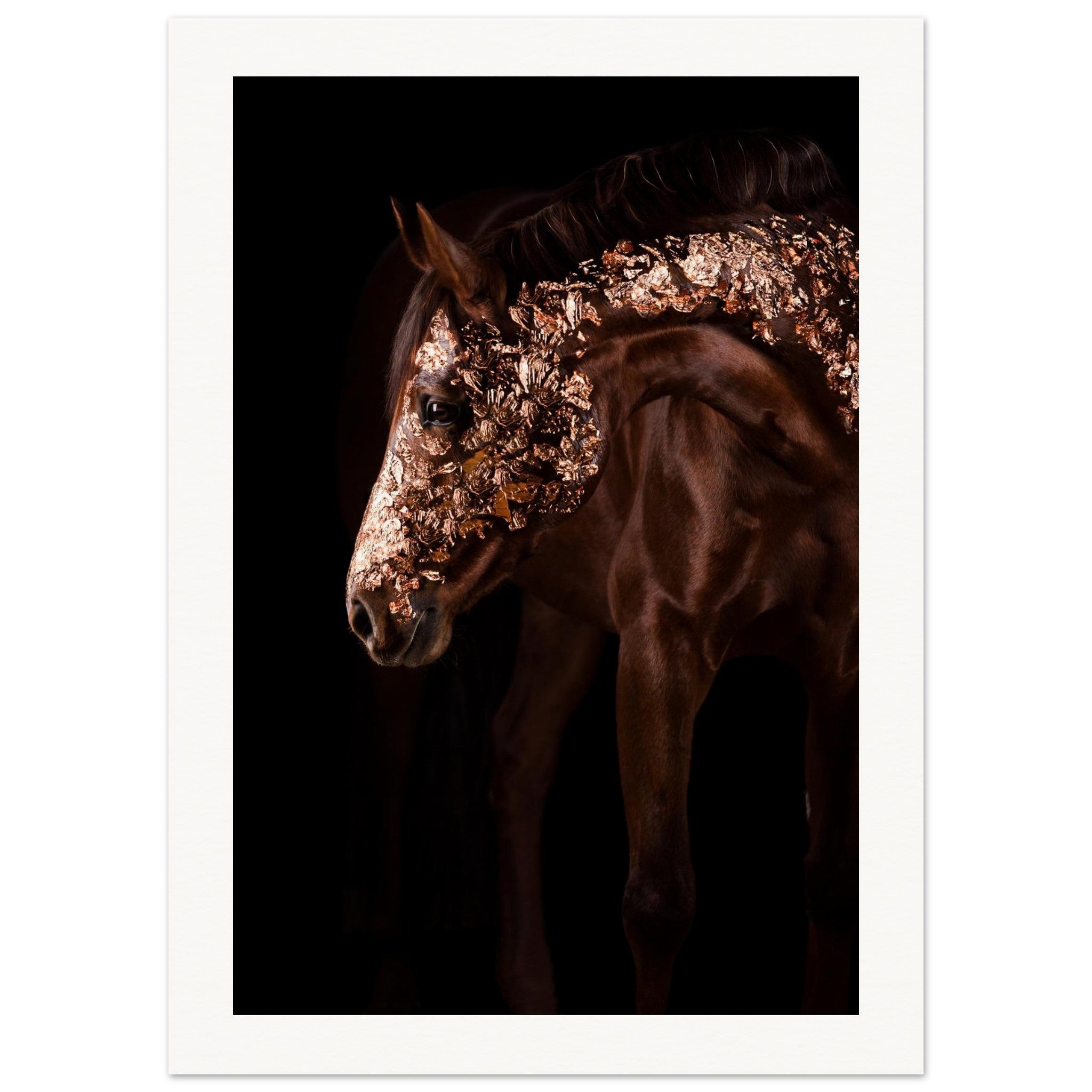 fb4f9961-8a83-4d20-a9ea-02898640301e