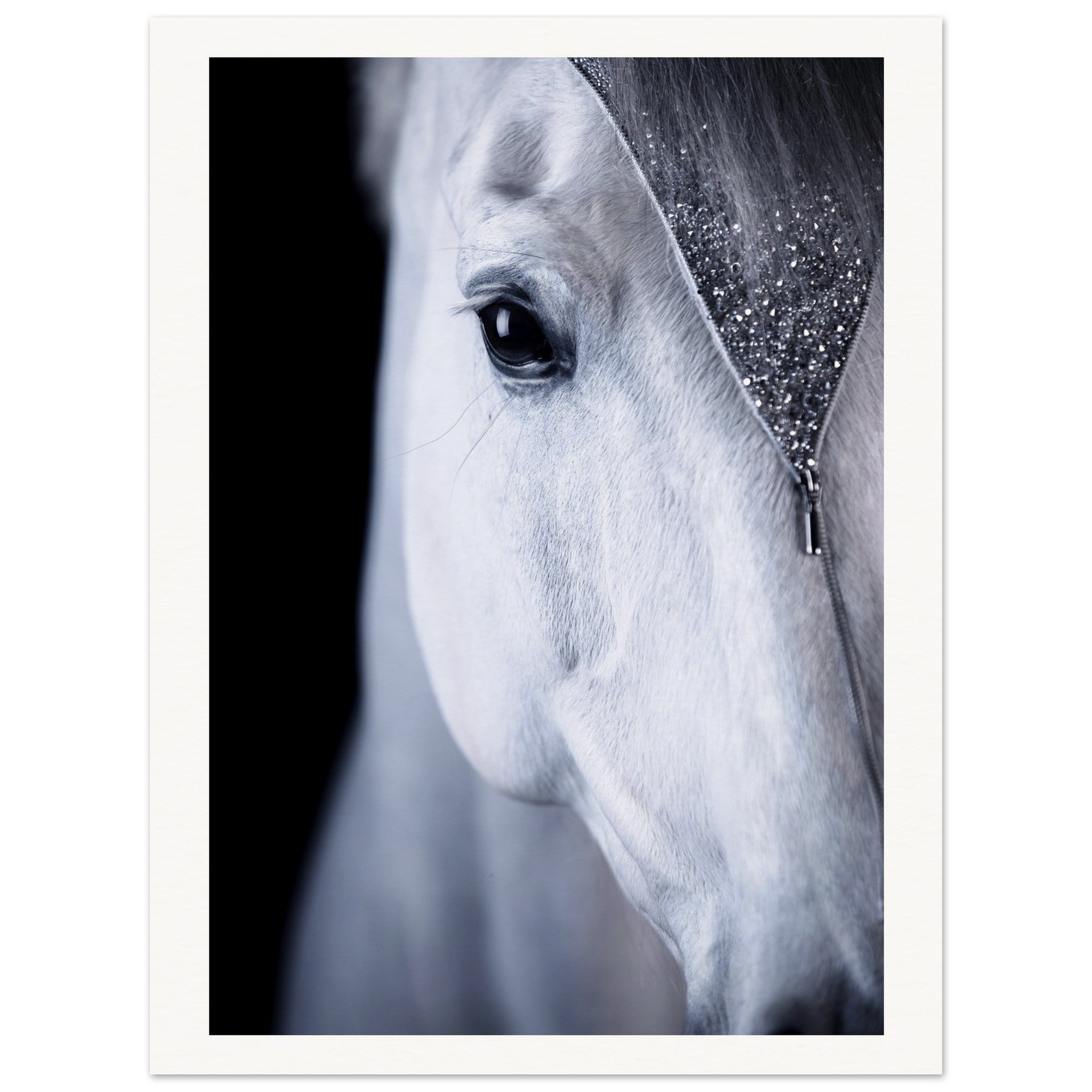 fb50d333-ca22-4232-876c-2cb8505b1a71