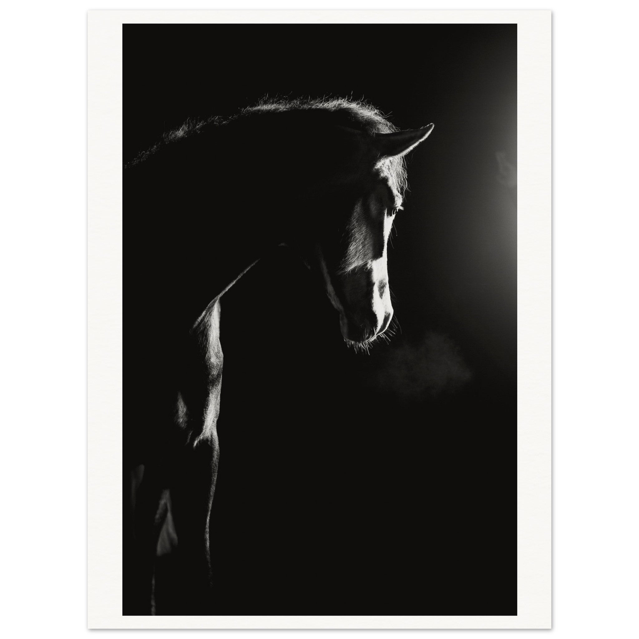 fb926f98-cb9f-46a3-848f-e6fa6c3878ad