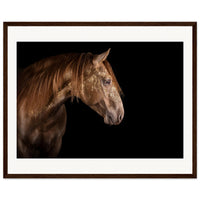 fbaae0b6-1961-4210-8727-1d99764134f5