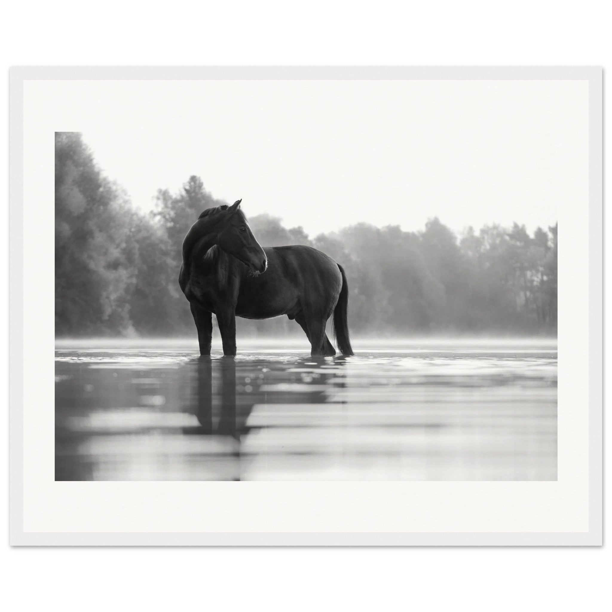 fbed9eb7-2aa8-453d-a87e-f64da62685ef