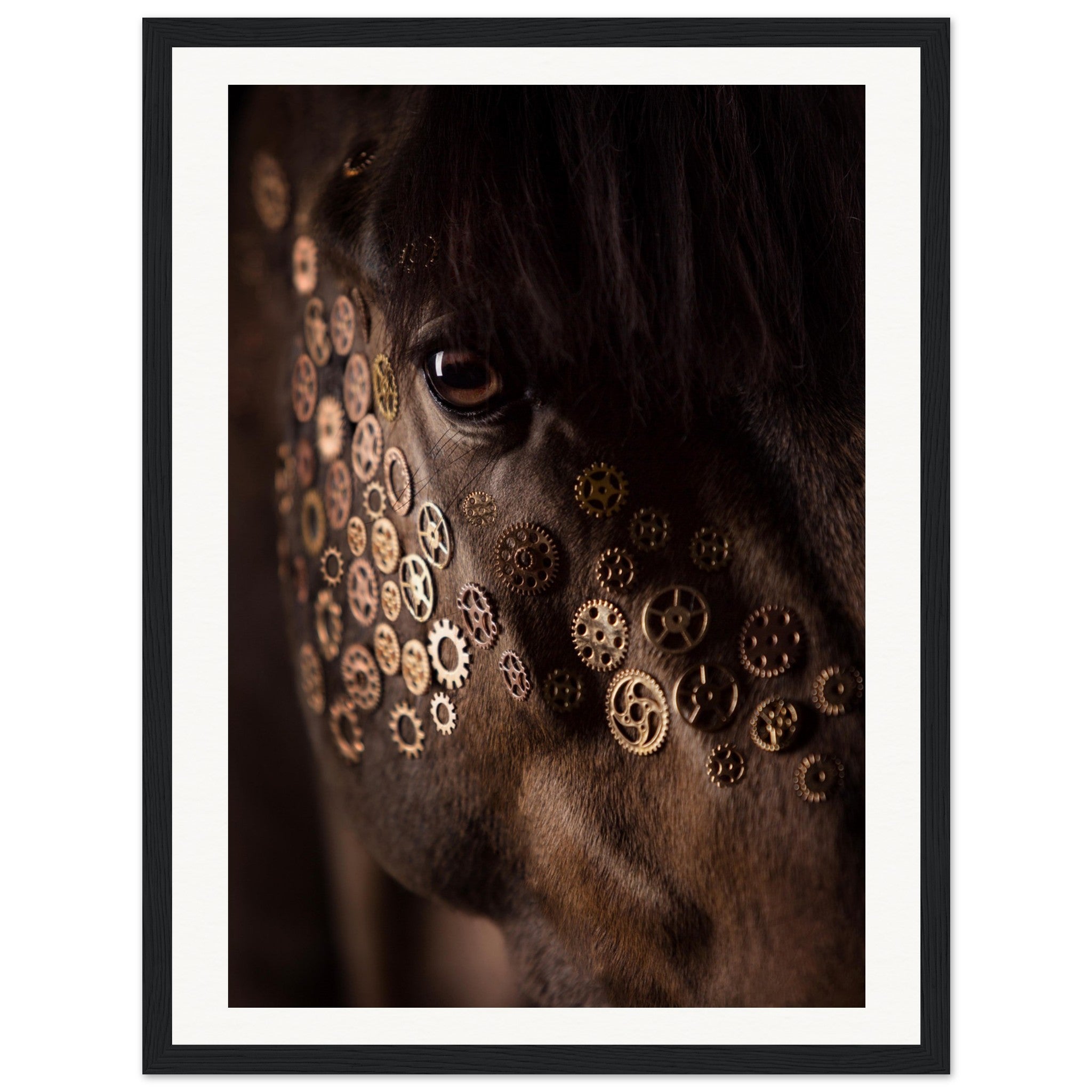 fc07d589-c094-4650-9826-8b1ffb8bb7ed