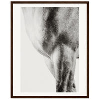 fc2b6834-89d1-482a-9b00-86d1d43771c1