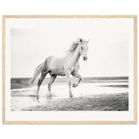 fc2d4fa7-9b1e-47fa-ba35-38ec6970d0ed