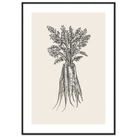 fc52a9d8-395f-46fd-82cc-97833102ca44