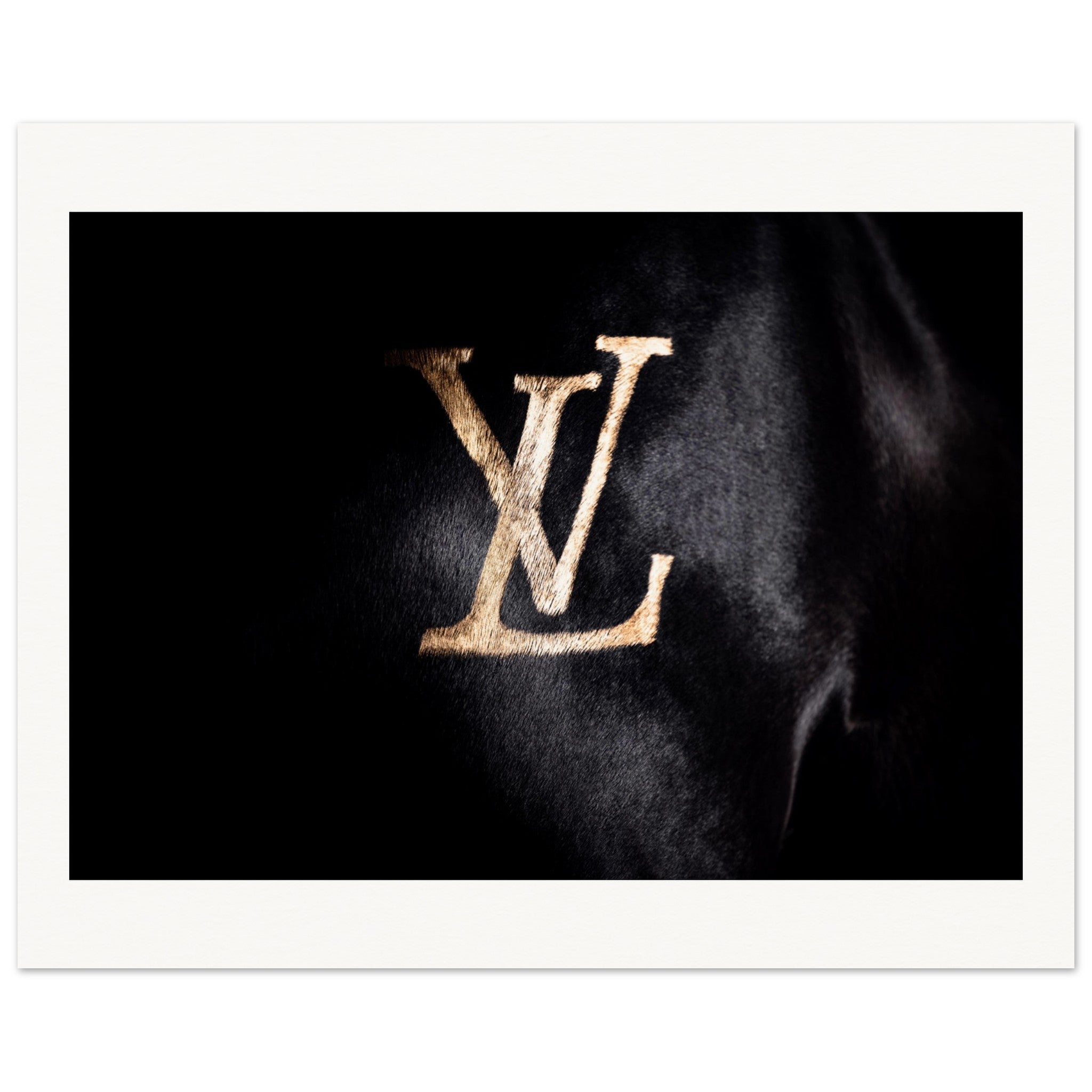 fc5d110d-19d3-416b-89ee-18e4e8ad0dd4