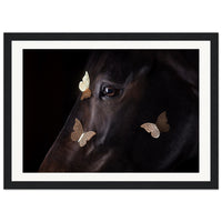 fc615c91-9409-428d-bb42-ffde0835fd27