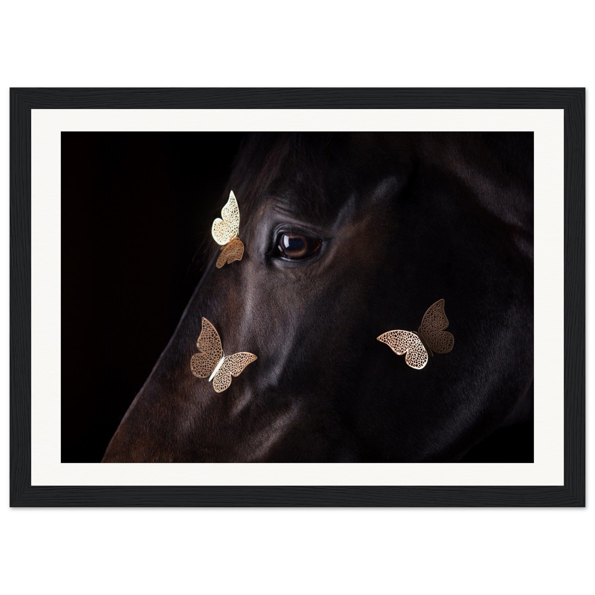 fc615c91-9409-428d-bb42-ffde0835fd27