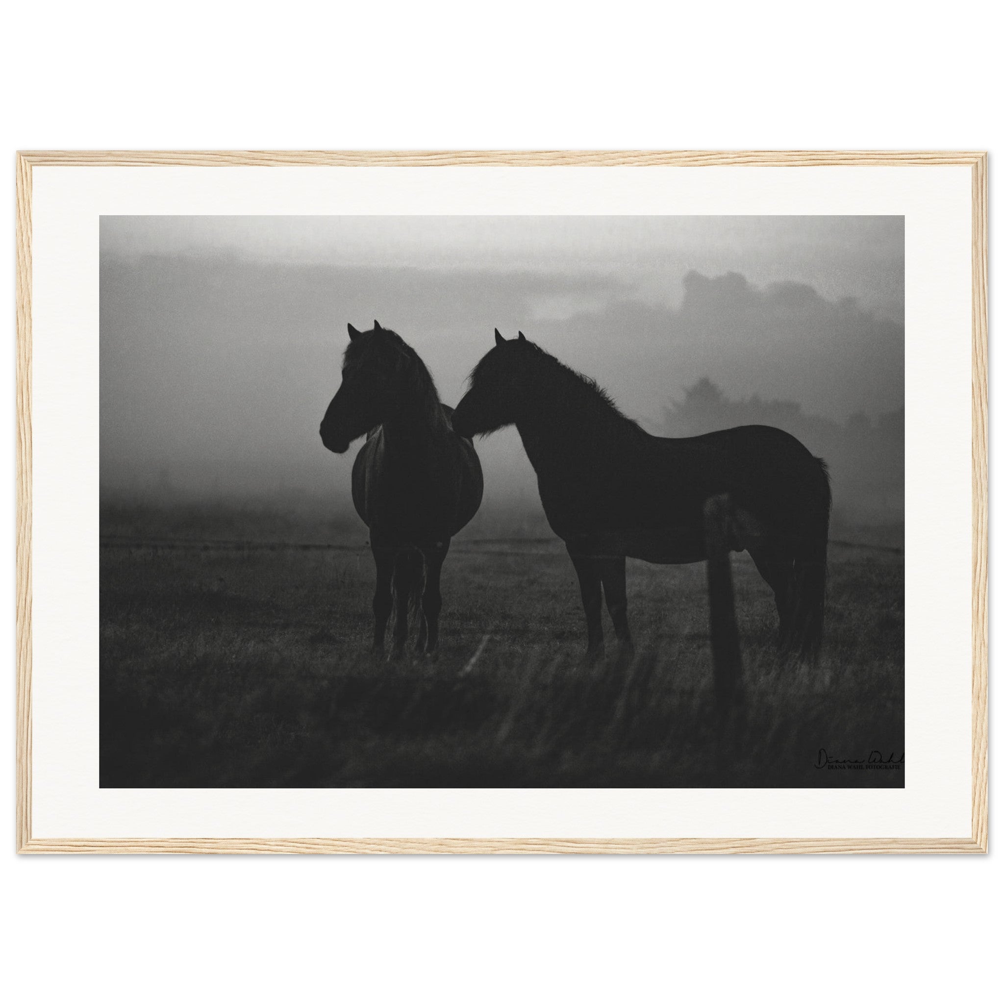 fc7c00ef-ce51-4fda-9a5c-6dc6883ed5f1