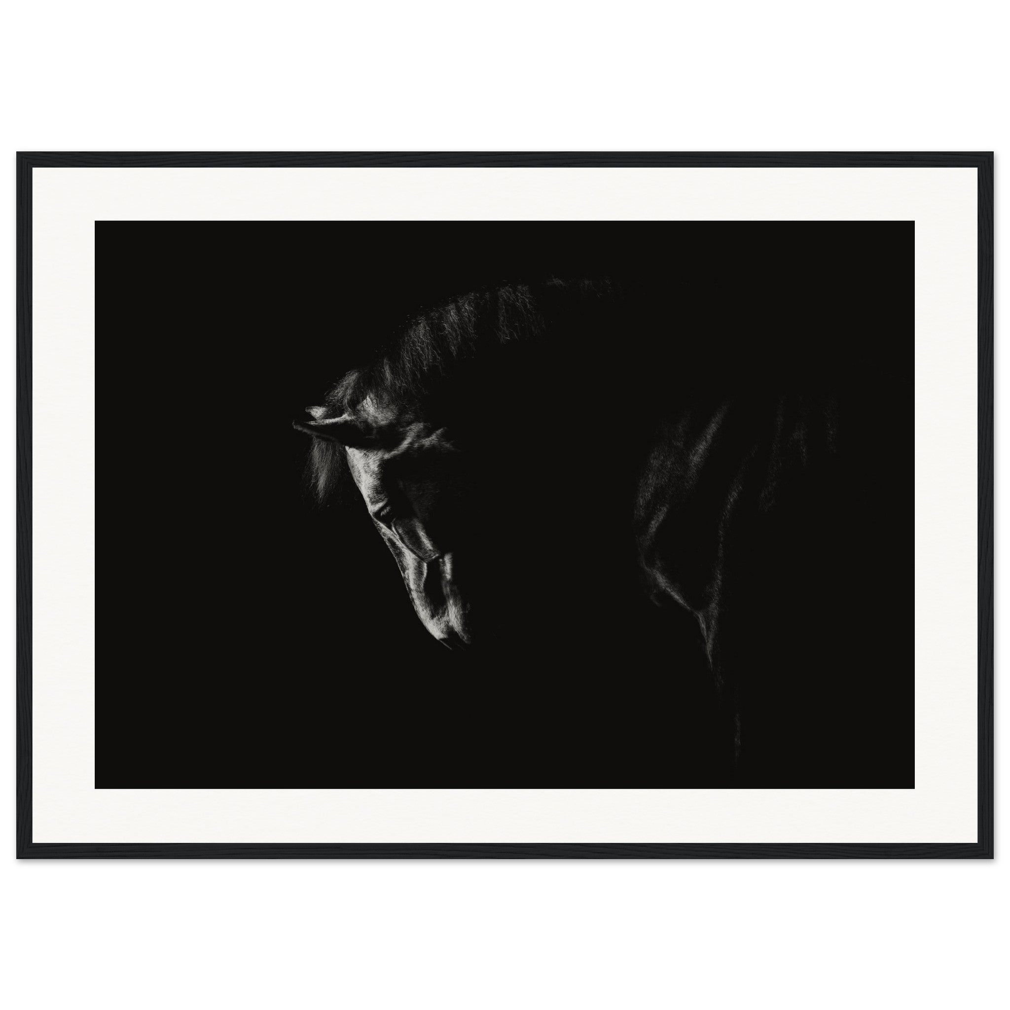 fc7ea904-b620-4a12-8193-b7f0466ed3f6