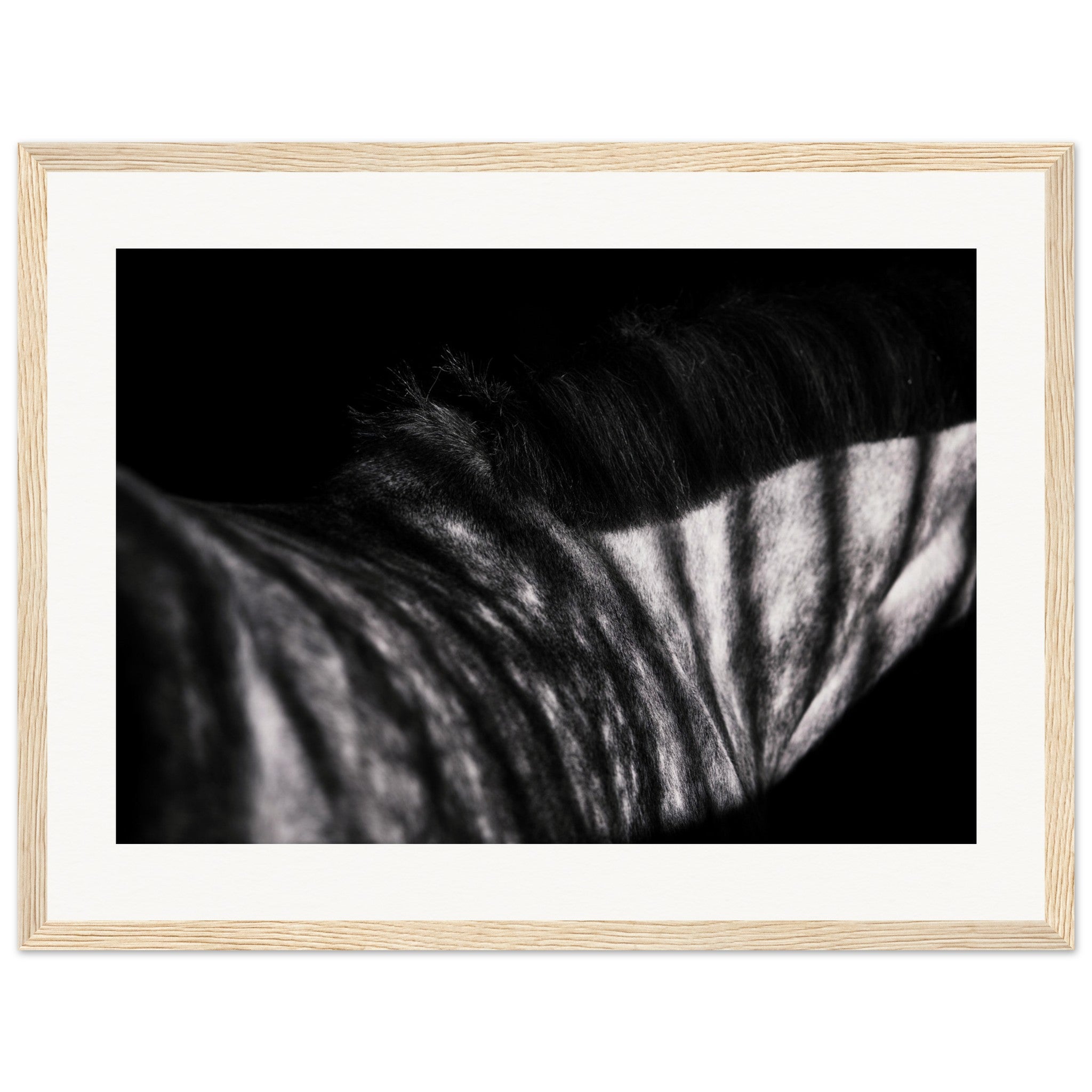 fca62d9d-ee3f-4370-bdd5-da03f0e9c150