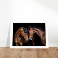 fcce075d-ab85-40c1-8bf2-121e887dbe5b