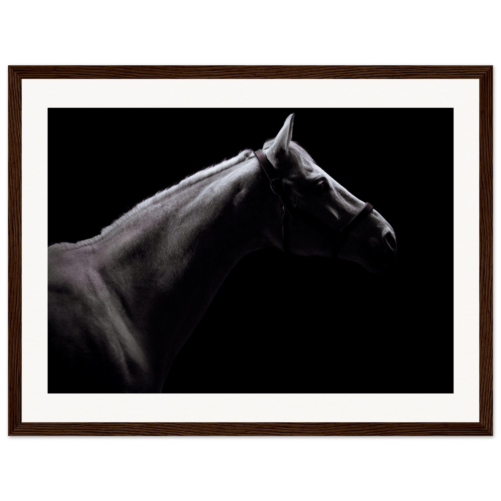 fce4e8c2-4a03-4780-806c-02f0be1952ad