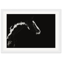 fcfef61e-dd08-4b80-976b-6d5f36b98500