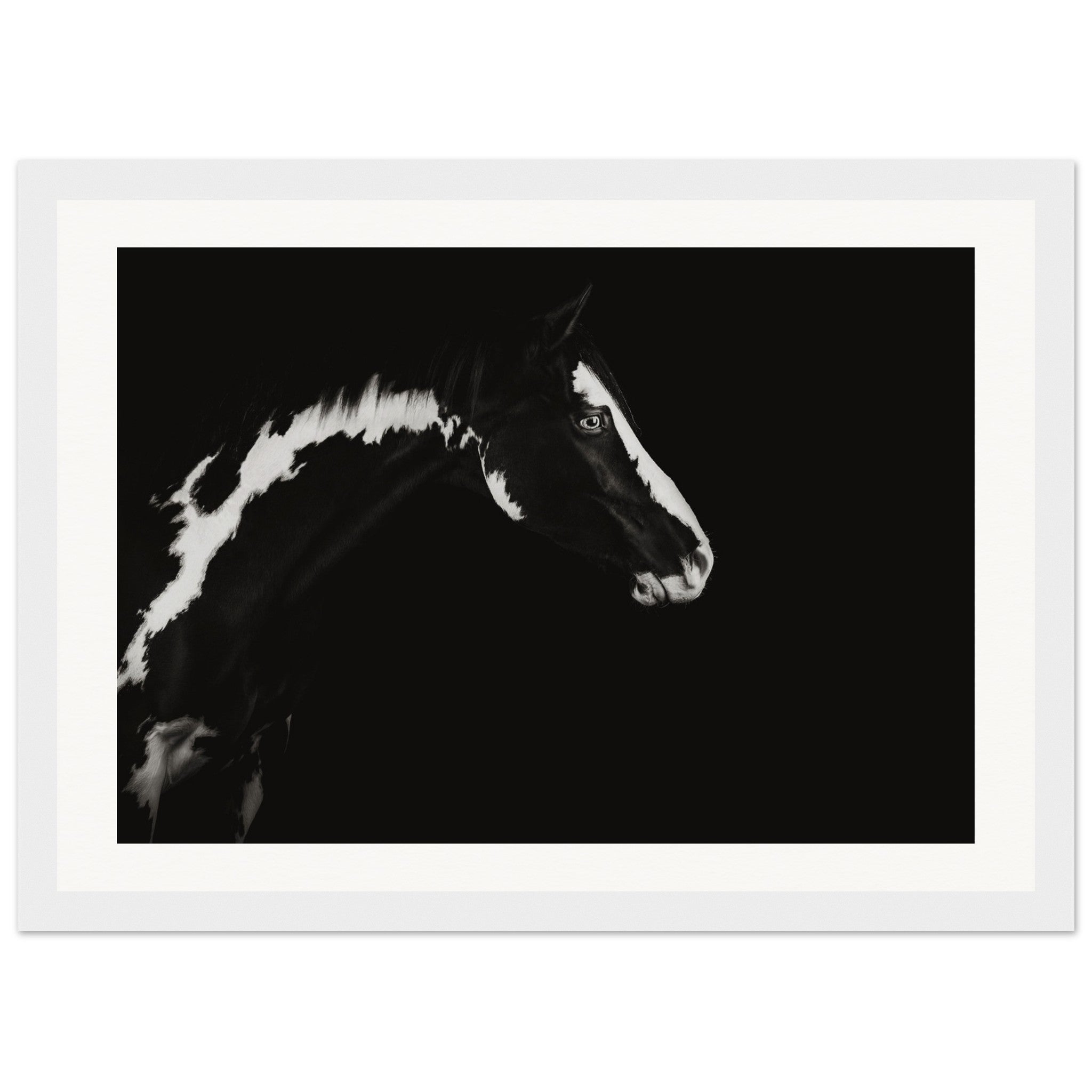 fcfef61e-dd08-4b80-976b-6d5f36b98500