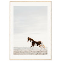 fd06928b-13fe-43b0-b777-2c74cb5a19e6