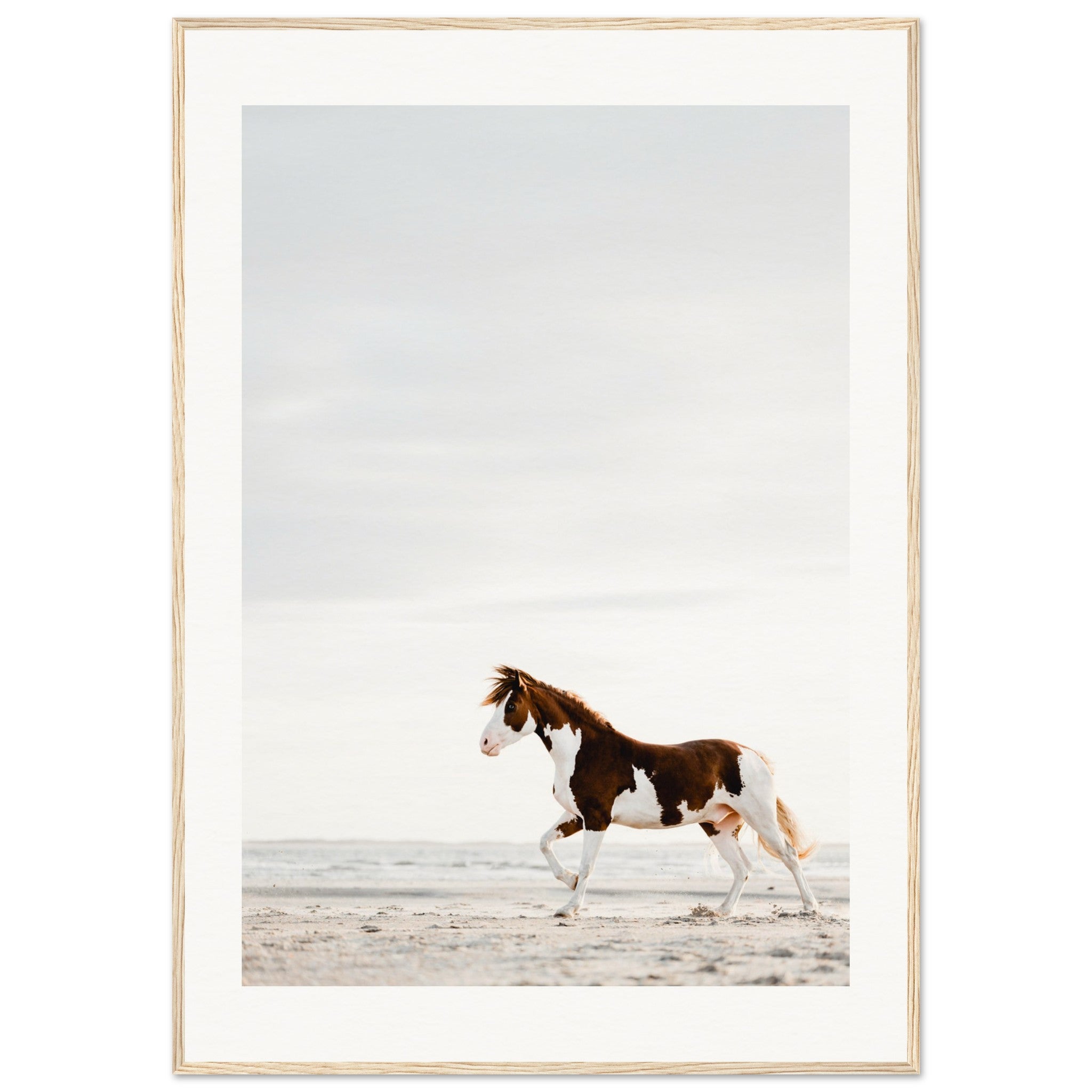 fd06928b-13fe-43b0-b777-2c74cb5a19e6