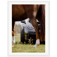 fd10b6b8-ddeb-4ce6-8f34-31a17682fa97