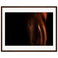 fd71be86-2df8-4c70-bdc4-344ab7855dc1