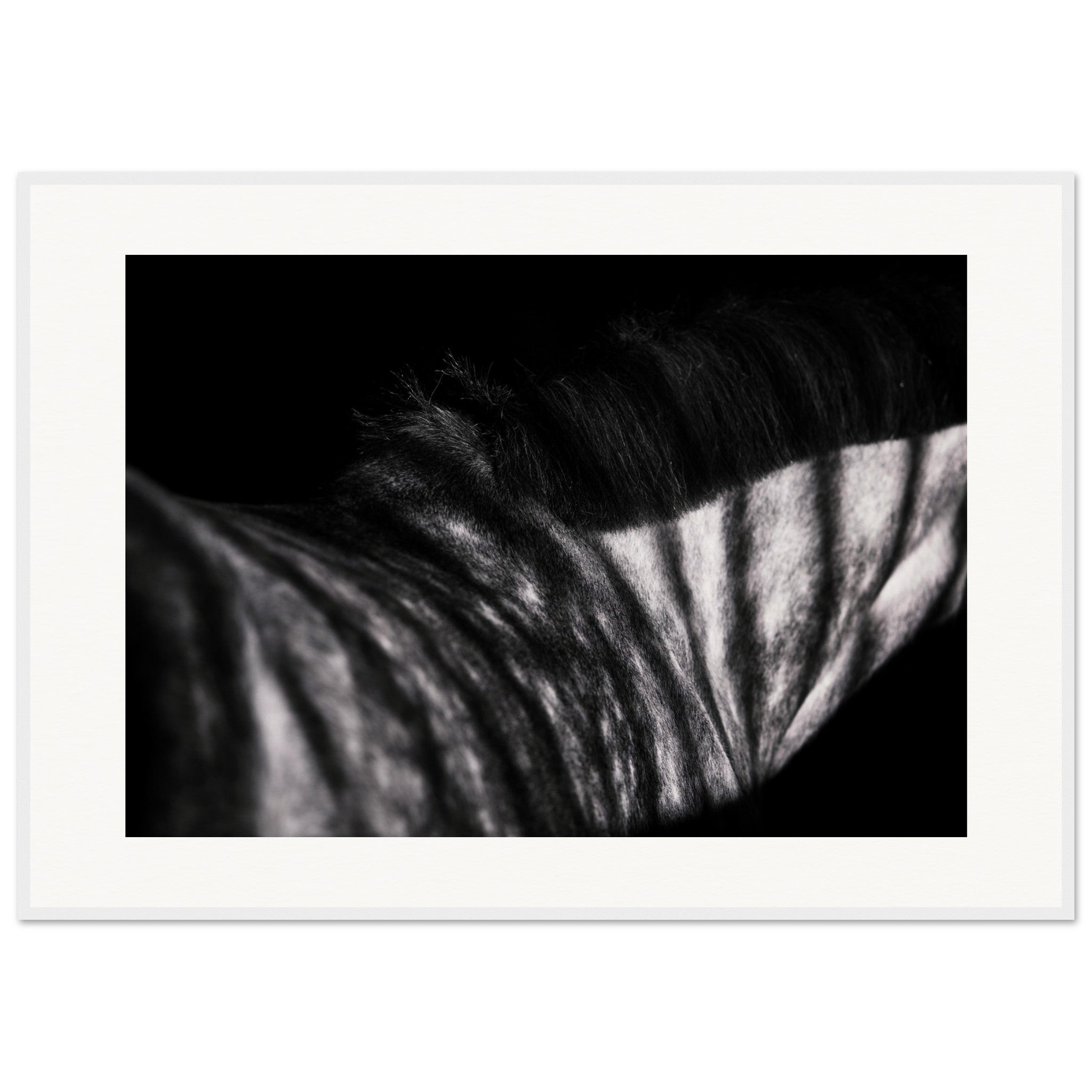 fde170d6-b680-43f5-a051-f660e6400111