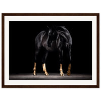 fe03e2cf-3adb-4b81-89a8-52ccc1e858c4