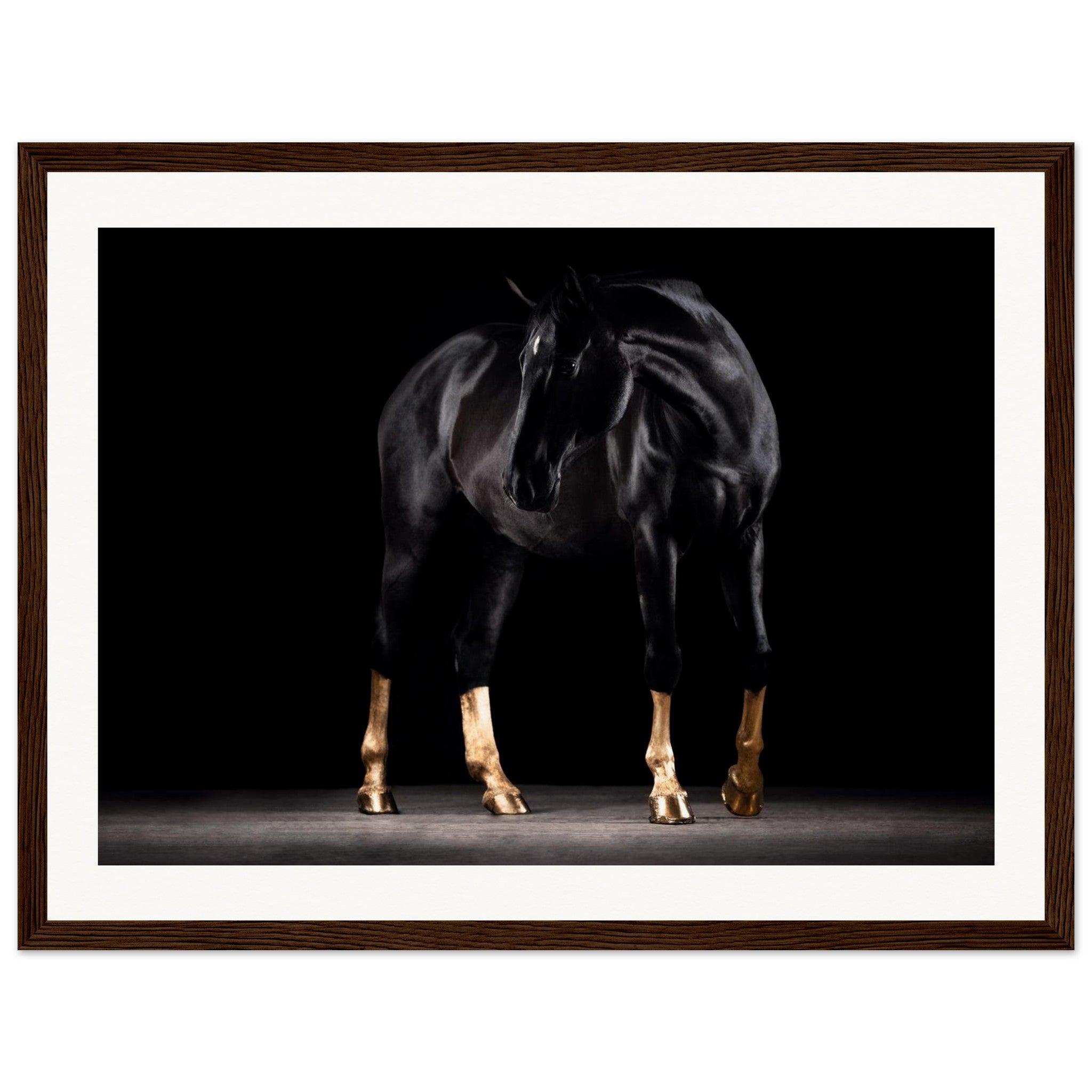 fe03e2cf-3adb-4b81-89a8-52ccc1e858c4