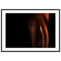 fe1bc33a-dbbc-488c-b3eb-0541d7105a6b